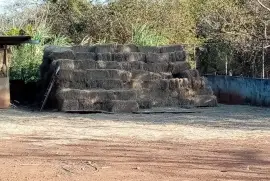 Se vende Pacas para ganado