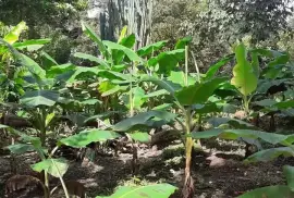 Hermosa casa Campestre 