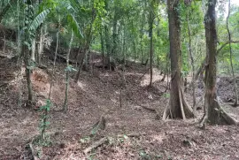 SE VENDEN TERRENOS EN CERRO AZUL 