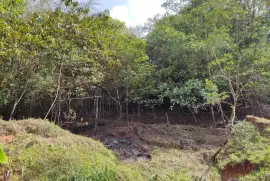 SE VENDEN TERRENOS EN CERRO AZUL 