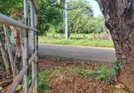 Versteigerung einer 61 Hektar großen Finca, Nata
