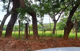 Auction of 61 hectare farm, Nata
