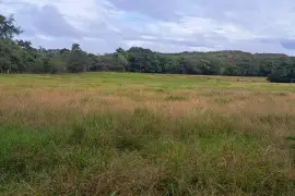   Land for rent por renewable project, Nata, $ 5,000