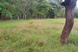   Land for rent por renewable project, Nata, $ 5,000