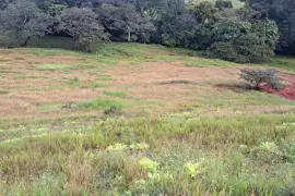   Land for rent por renewable project, Nata, $ 5,000