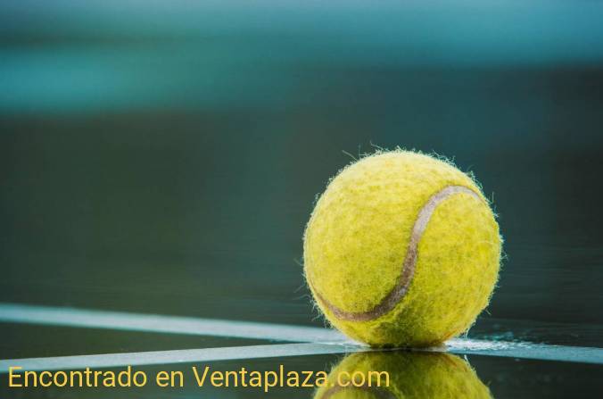 Wimbledon 2024: Djokovic contra Alcaraz en una final llena de emoción